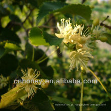 Natureza pura linden mel